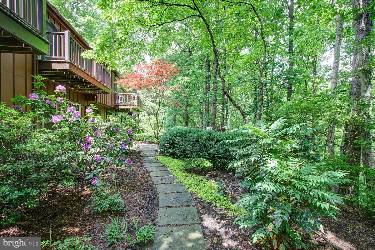 11105 Glade Drive Reston, VA 20191 - Photo 30 of 30 Exterior (Rear)