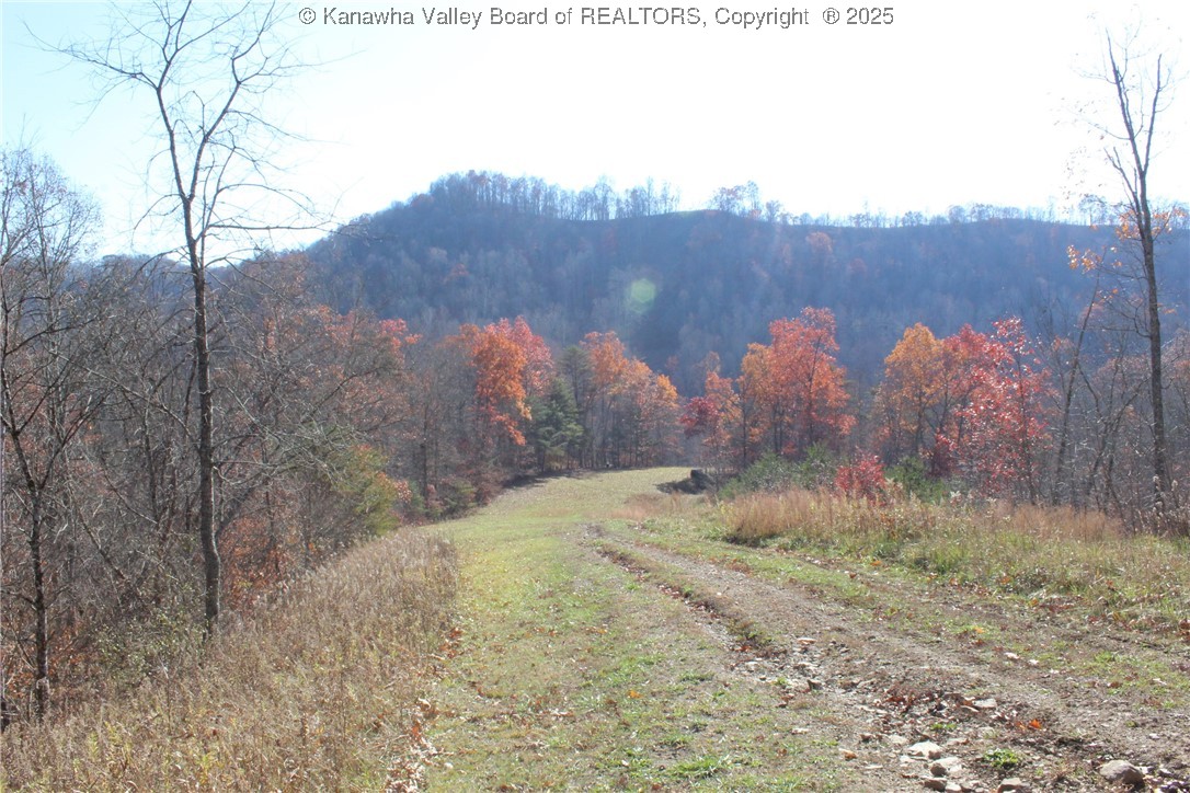 558 Sears Run Road Chloe, WV 25235 - Photo 6 of 29 Gallery Image 6