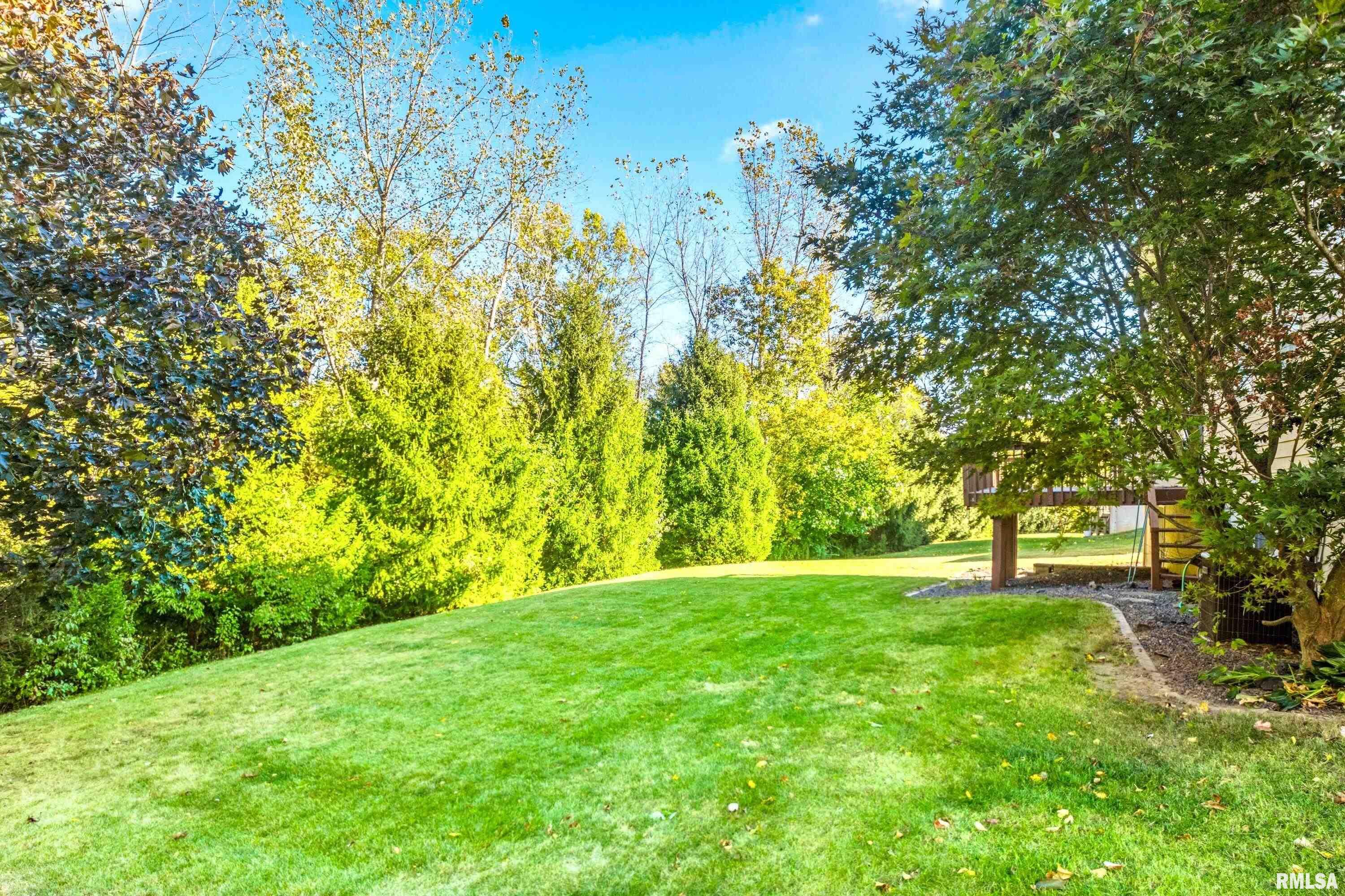 6314 North Fieldtree Court Peoria, IL 61615 - Photo 51 of 55