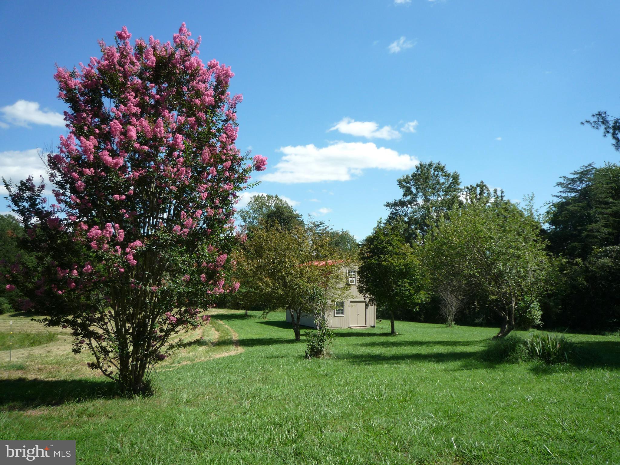 130 Dennis Road Castleton, VA 22716 - Photo 23 of 41 Flowering trees and shrubs