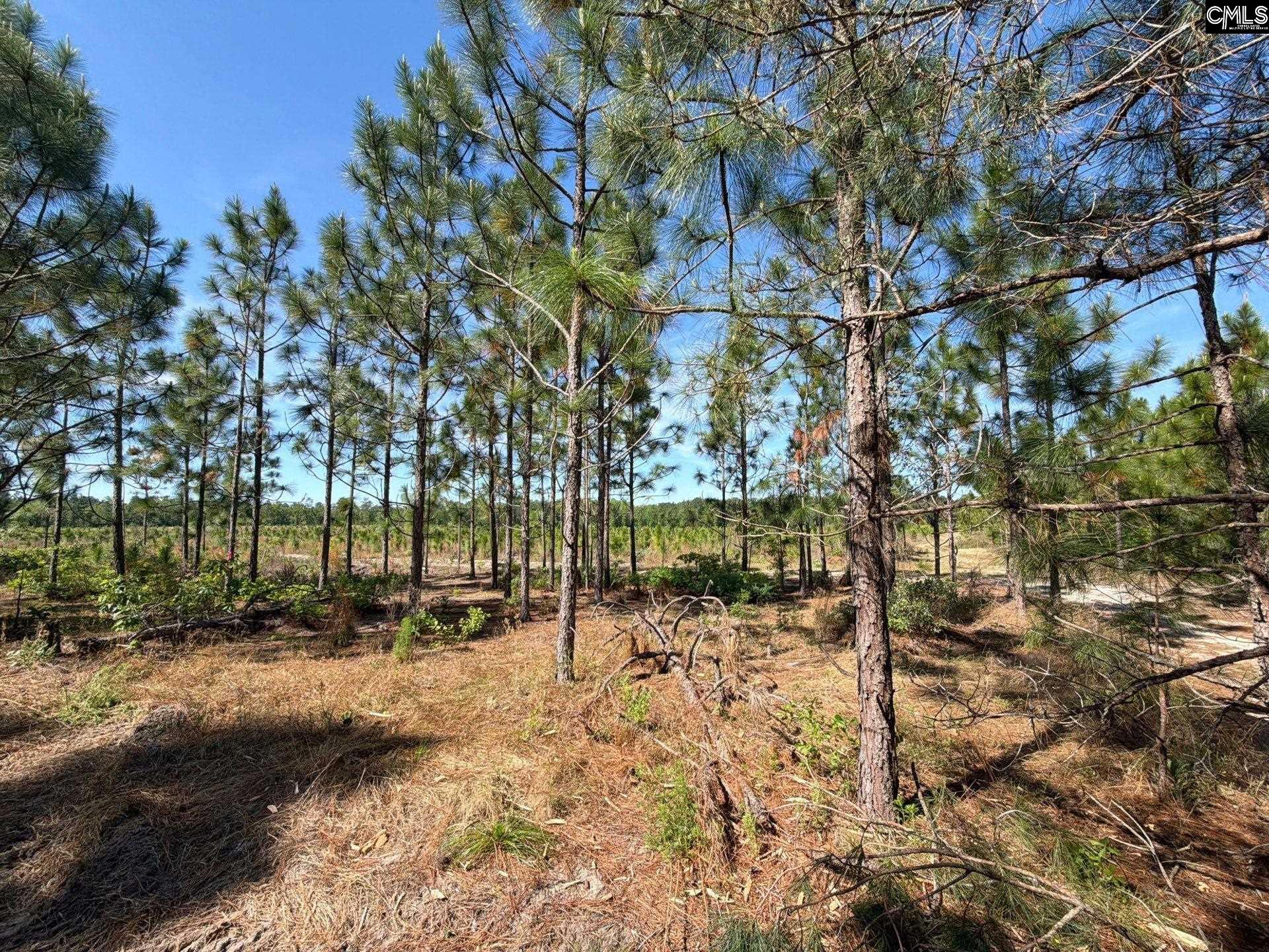 3 Holstein Road Monetta, SC 29105 - Photo 2 of 17