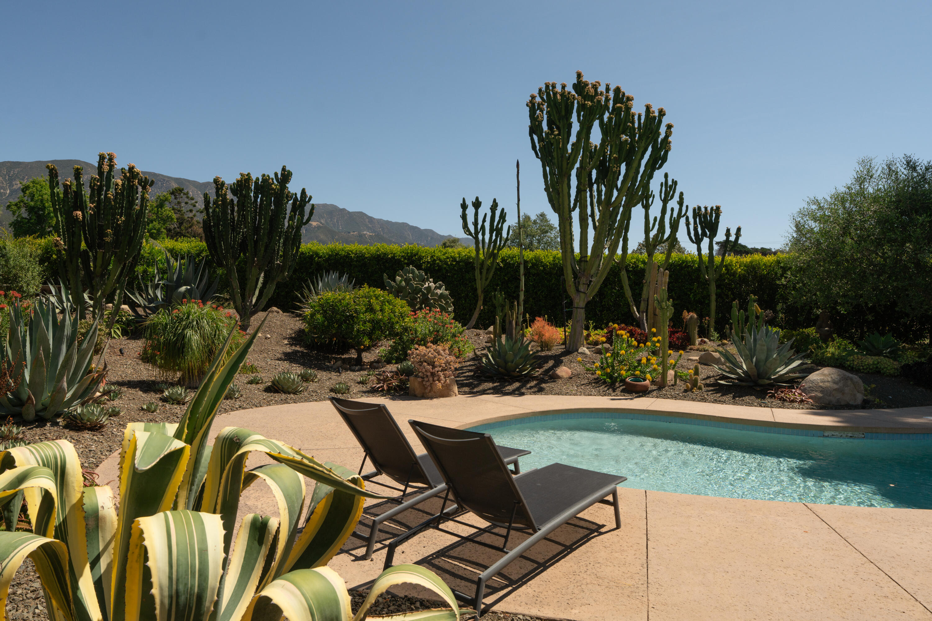 2150 10 Acre Road Santa Barbara, CA 93108 - Photo 15 of 18 Curated Landscaping