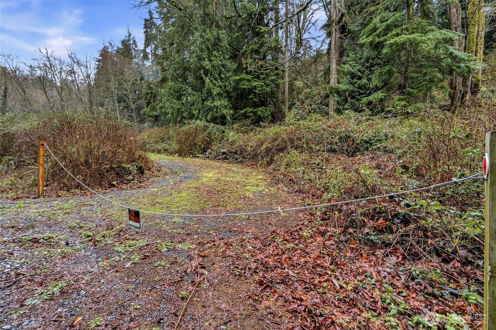 6830 Norma Beach Road Edmonds, WA 98026 - Photo 29 of 30 a view of a forest with a tree