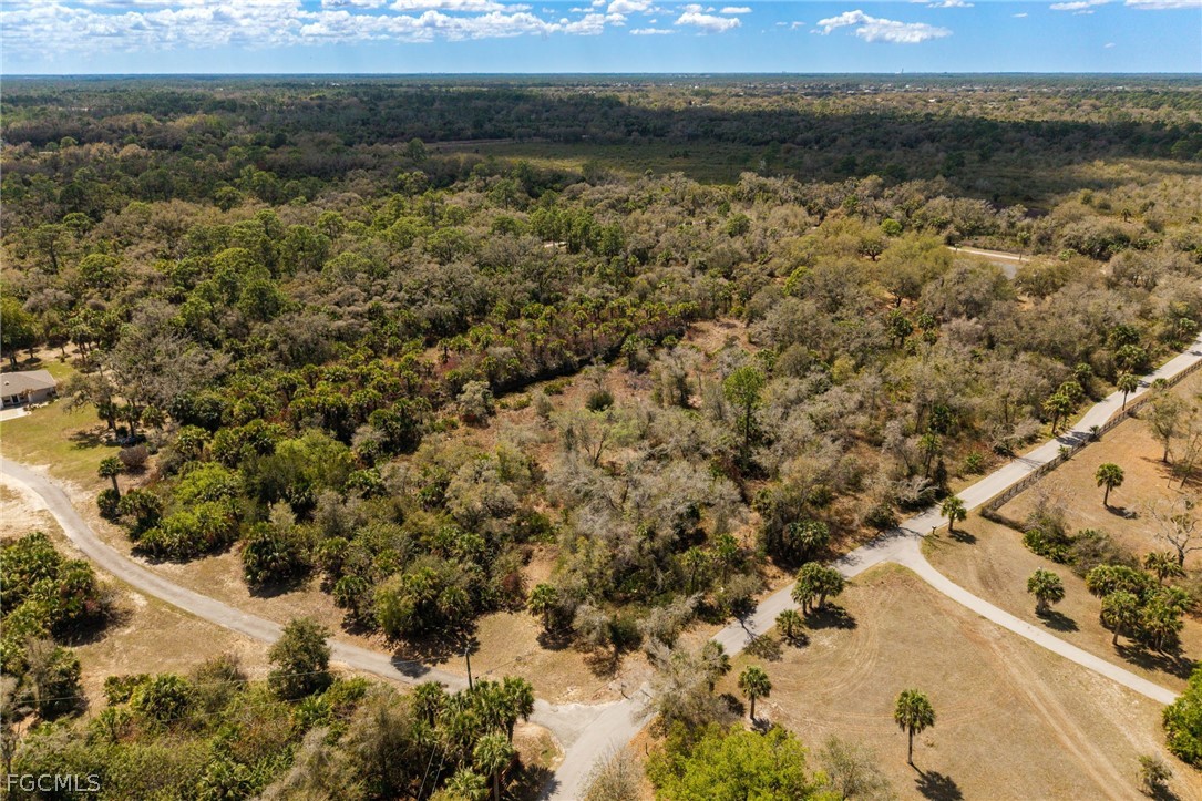 3751 Bateman Road Alva, FL 33920 - Photo 8 of 26 a view of a lake with mountains in the background