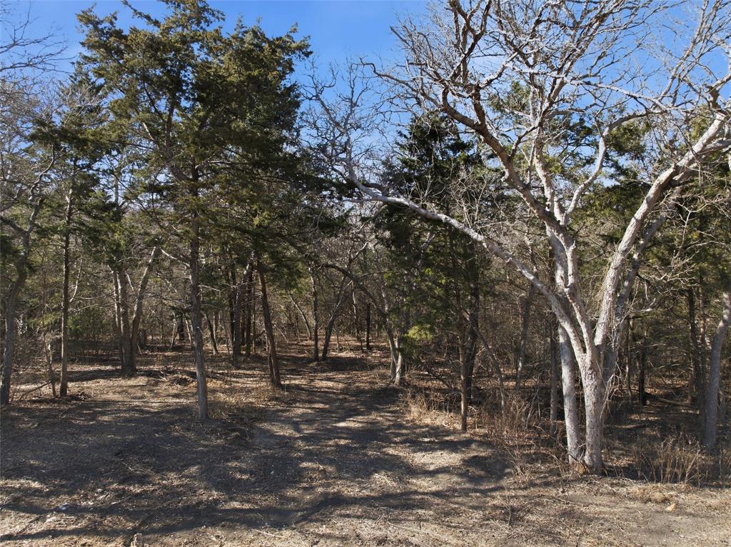 162 High Ridge Drive Bruceville, TX 76630 - Photo 38 of 40 a view of outdoor space with trees