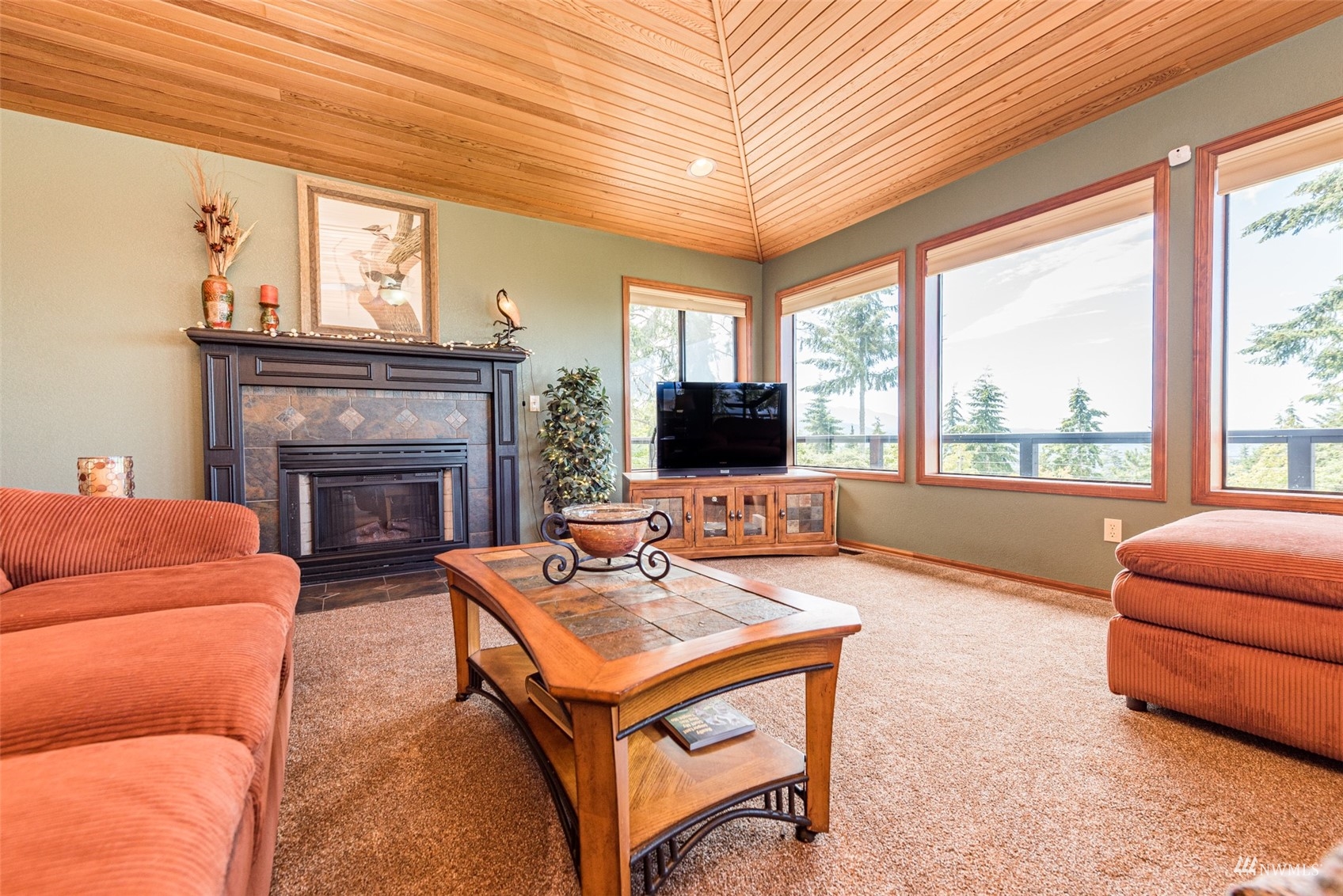 1313 Doe Run Road Sequim, WA 98382 - Photo 7 of 40 a living room with furniture a flat screen tv and a fireplace