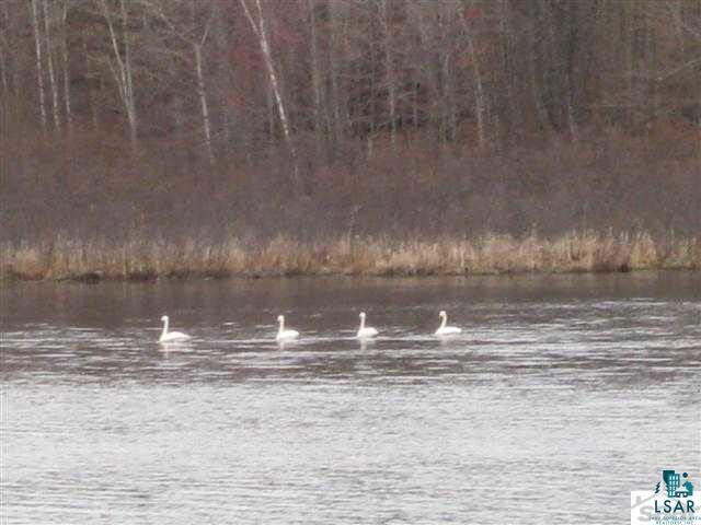 3215 Lakeview Church Road Shell Lake, WI 54871 - Photo 9 of 12