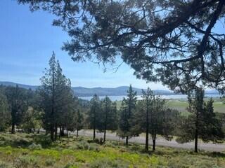 0 Murrelet Road, Unit LOT 1185 Klamath Falls, OR 97601 - Photo 4 of 11 1185 3
