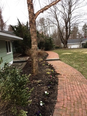 9 West Knoll Road Andover, MA 01810 - Photo 2 of 16 a view of a yard with plants and trees