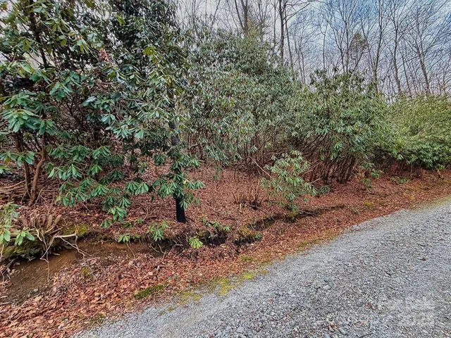a view of a yard with a tree