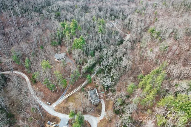 a view of a yard with plants