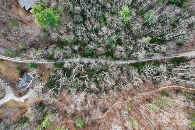 a view of a lake with a tree