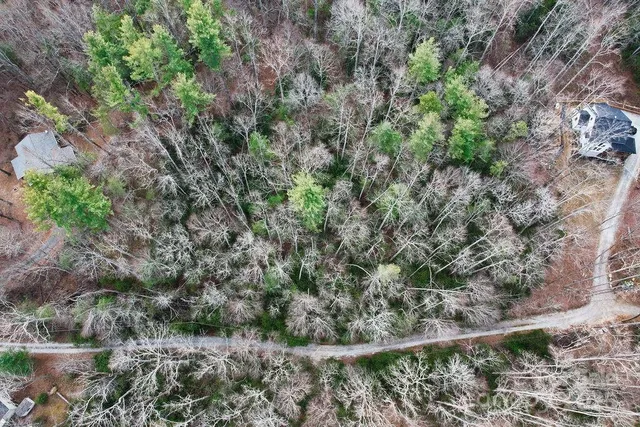 a view of a yard with a tree