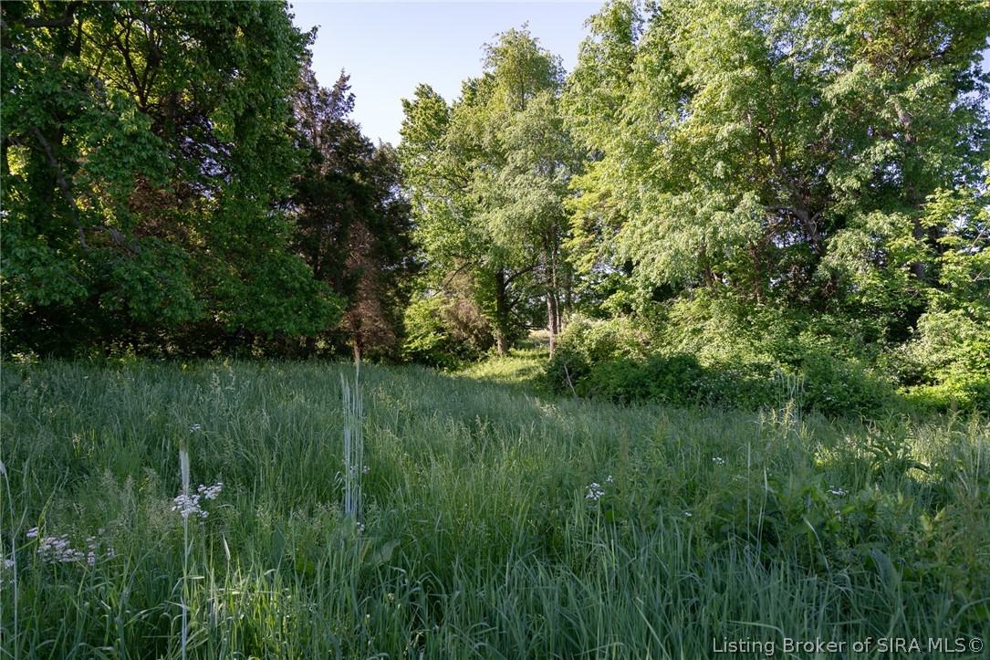 9 Book Road Floyds Knobs, IN 47119 - Photo 8 of 9 Gallery Image 8