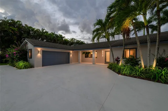 a view of a park with palm trees