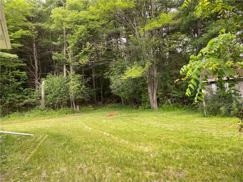 2115 Hornby Road Orange, NY 14812 - Photo 26 of 42 back yard from deck
