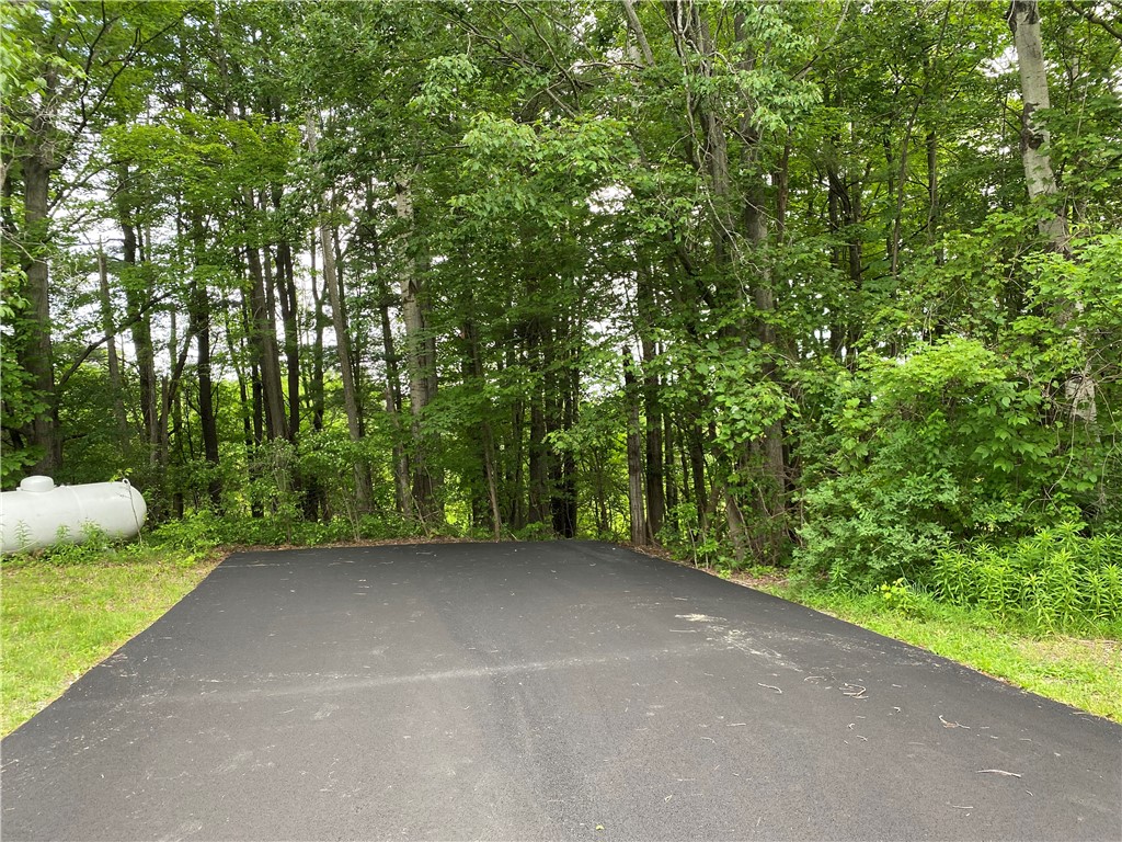 2115 Hornby Road Orange, NY 14812 - Photo 40 of 42 drivway