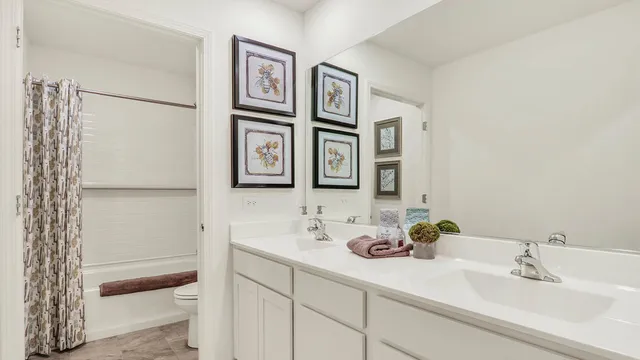 $594,990 | 313 Snowdrop Lane, Elgin, IL 60124