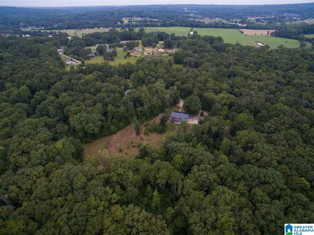 23227 East Ridge Drive McCalla, AL 35111 - Photo 44 of 49