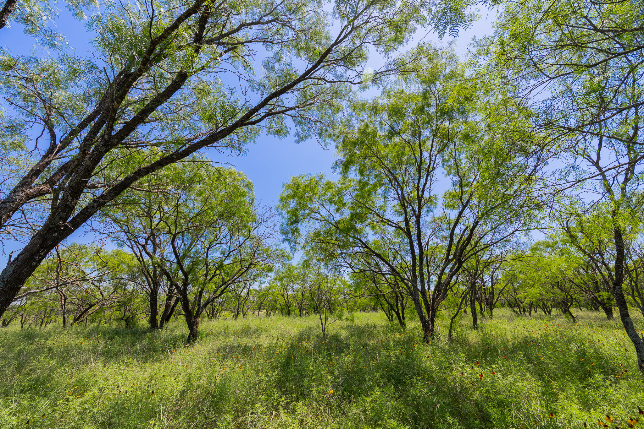 180 Rd Purmela Tx 76566 Road Purmela, TX 76566 - Photo 16 of 27 Gallery Image 16
