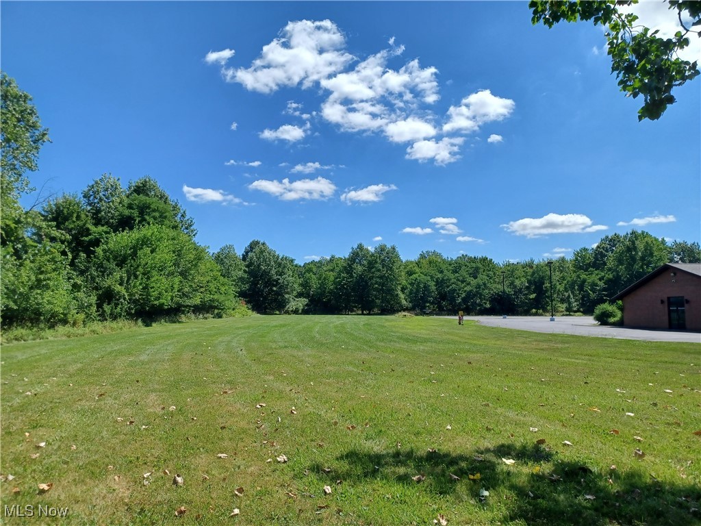 6689 Fry Road Middleburg Heights, OH 44130 - Photo 4 of 17 View of grassy yard with a wooded view