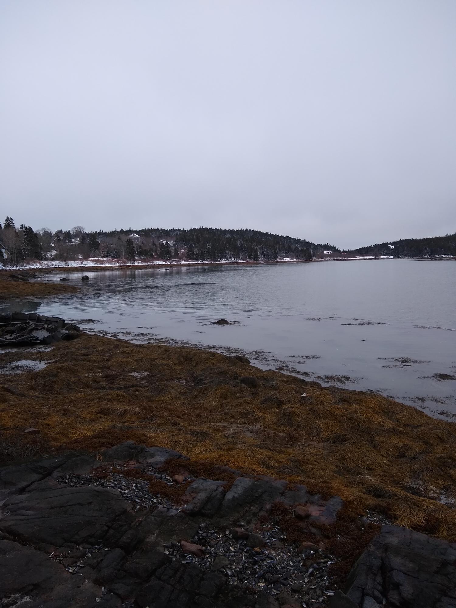 176 Harbor Road Swans Island, ME 04685 - Photo 4 of 23 IMG_20201219_104919267