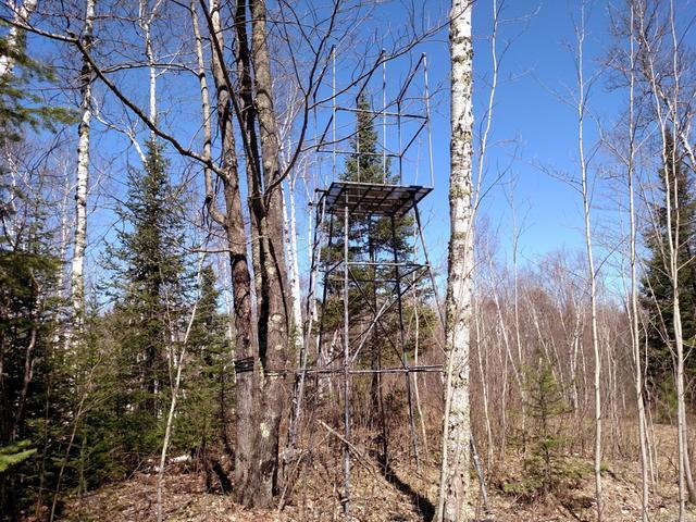 W6614 Loop Rd Road Phillips, WI 54555 - Photo 5 of 19 Gallery Image 5
