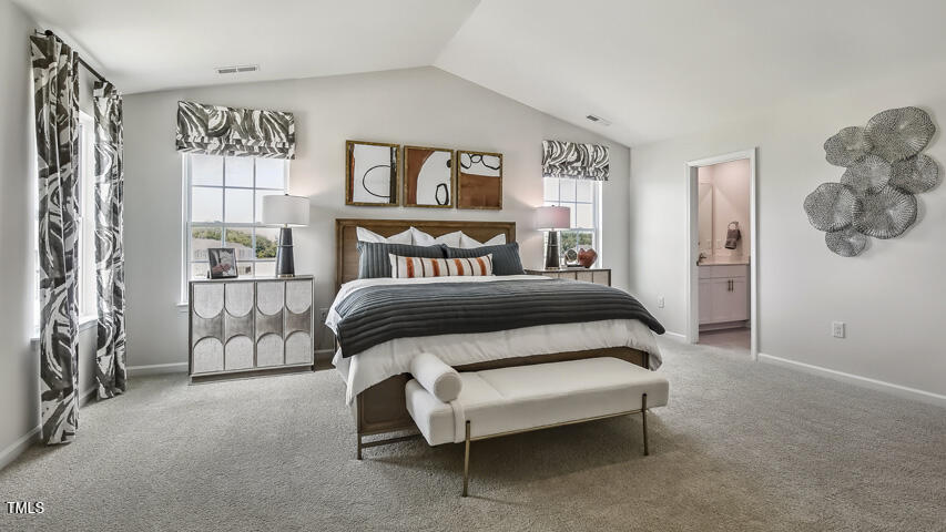 101 Pantaneiro Way Rolesville, NC 27571 - Photo 22 of 38 prestleigh-lot-146-031