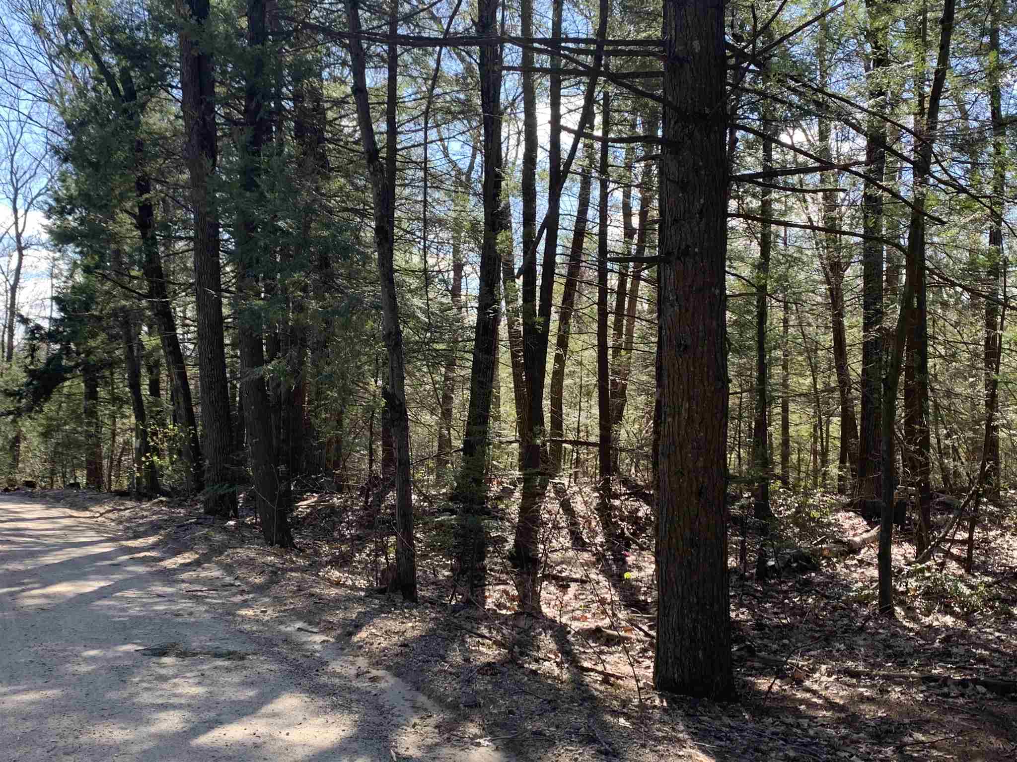Lot A Nutting Hill Road Mason, NH 03048 - Photo 2 of 16