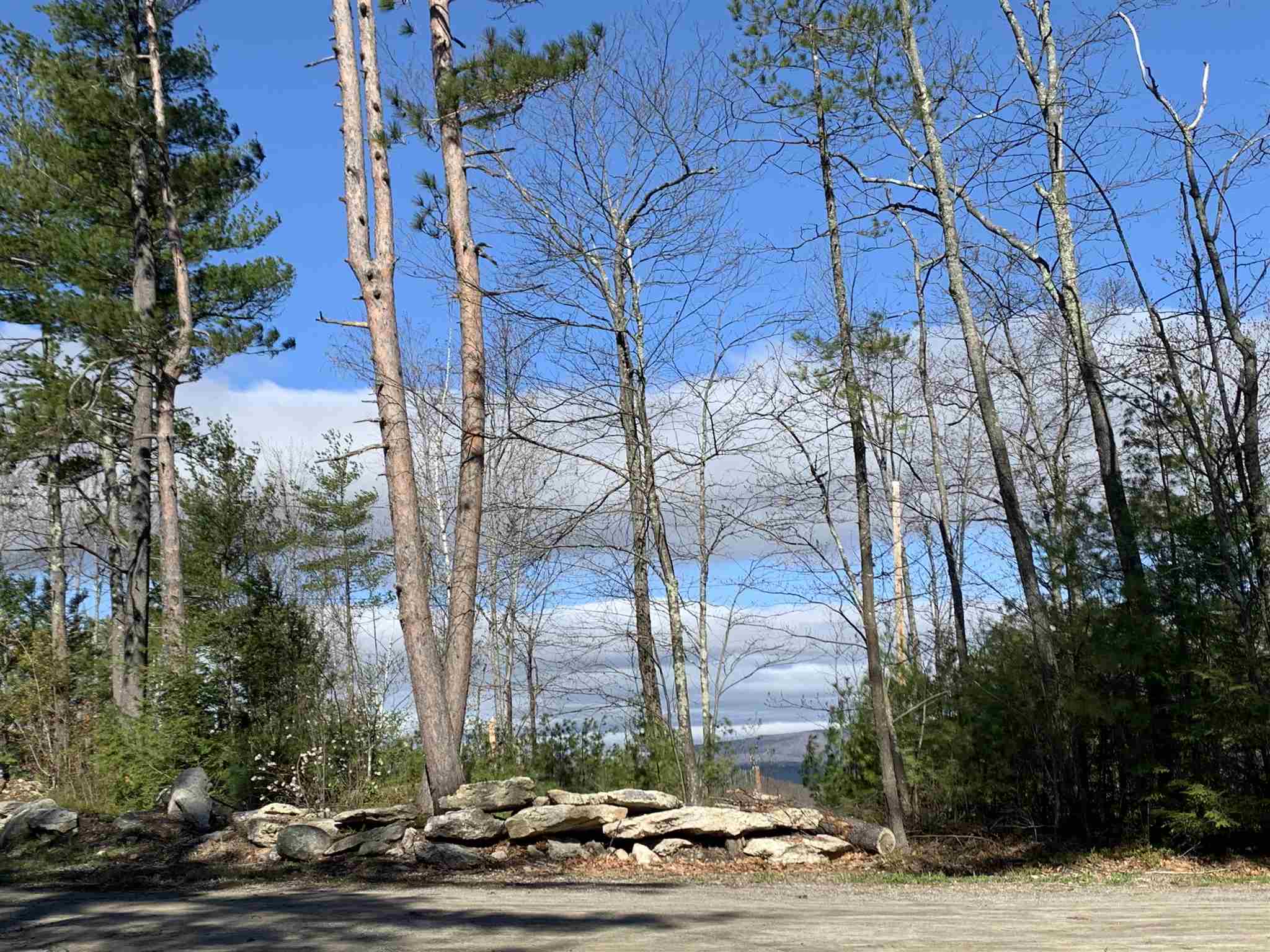 Lot A Nutting Hill Road Mason, NH 03048 - Photo 12 of 16