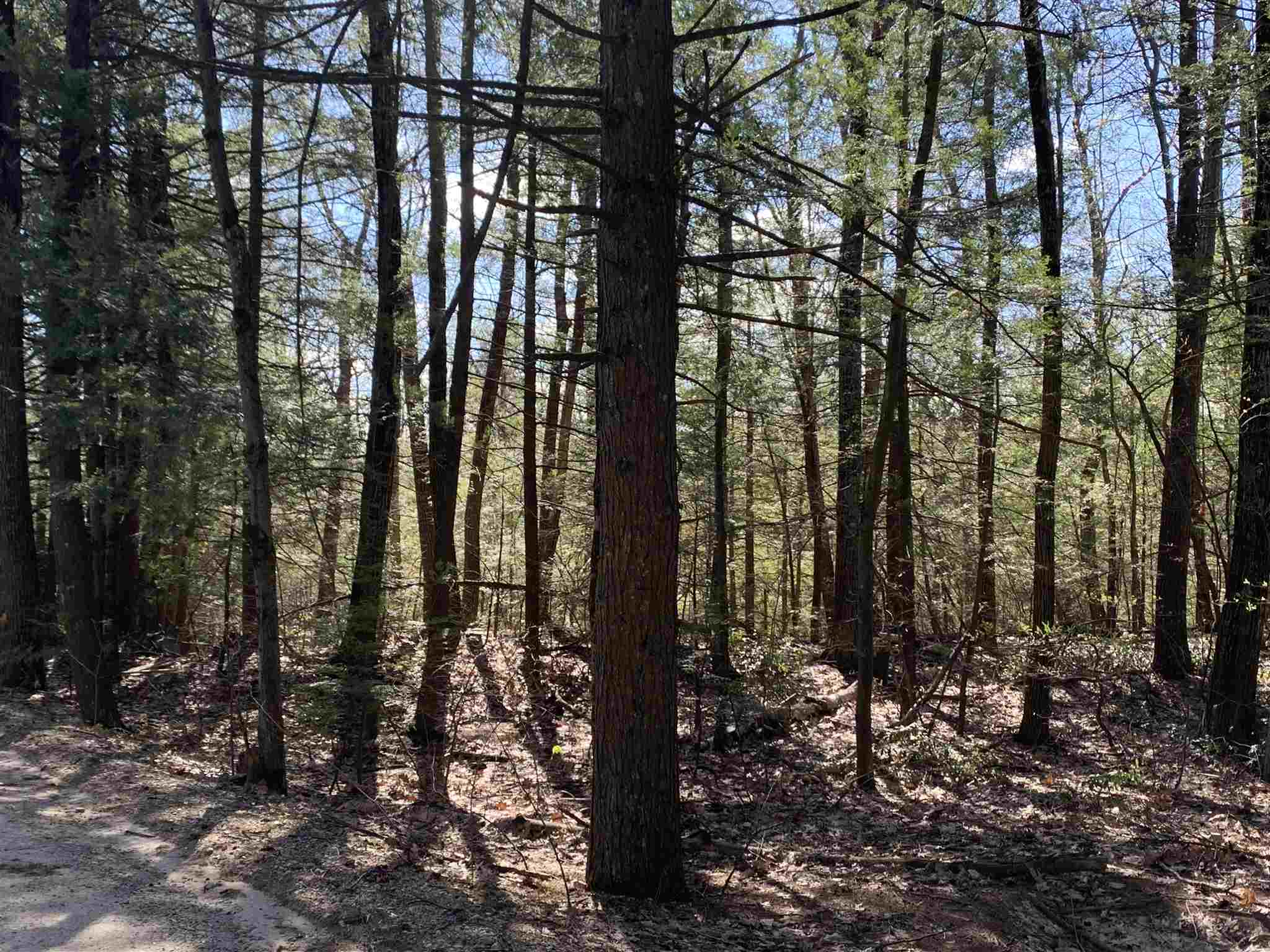Lot A Nutting Hill Road Mason, NH 03048 - Photo 3 of 16
