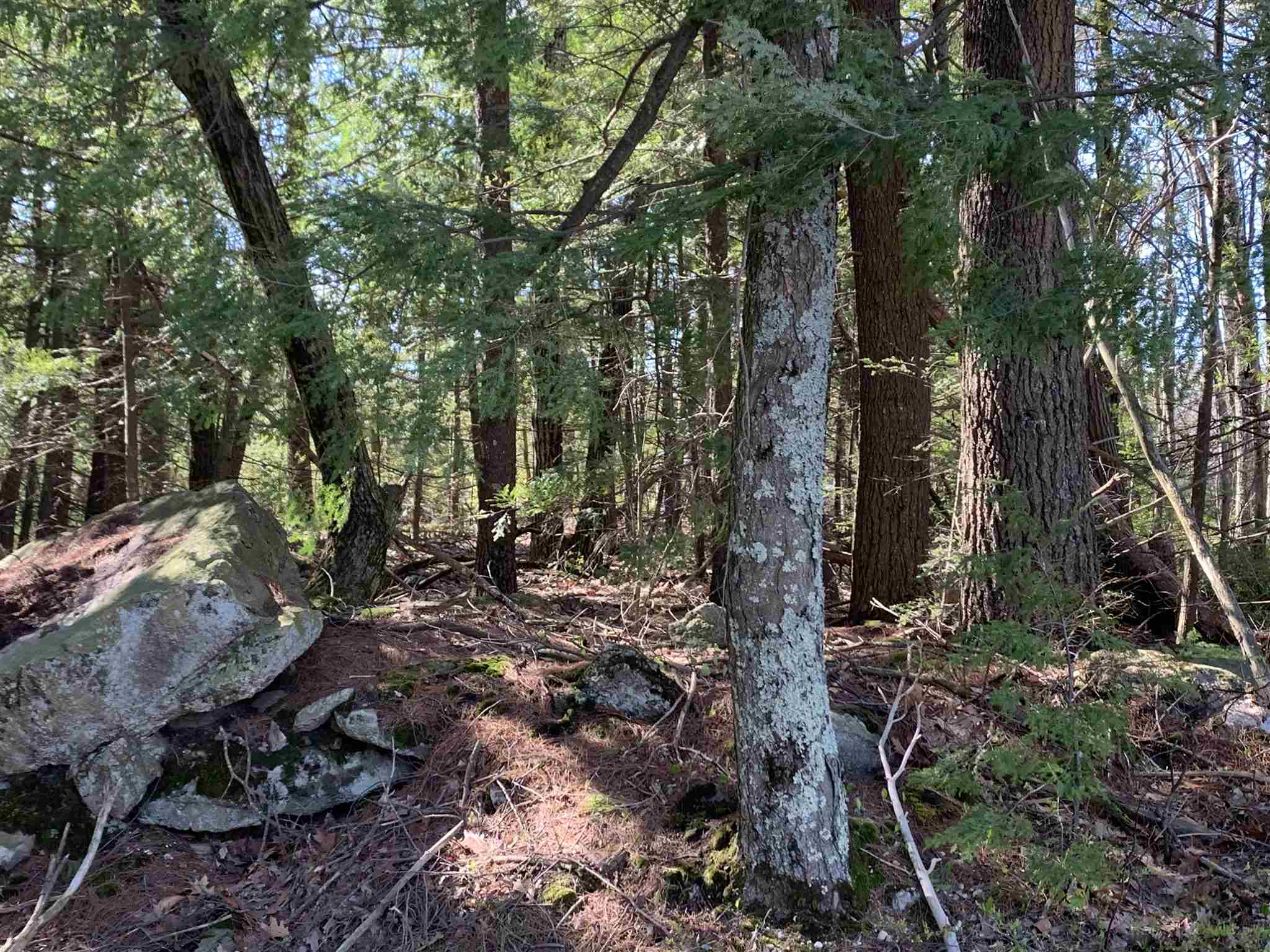 Lot A Nutting Hill Road Mason, NH 03048 - Photo 4 of 16