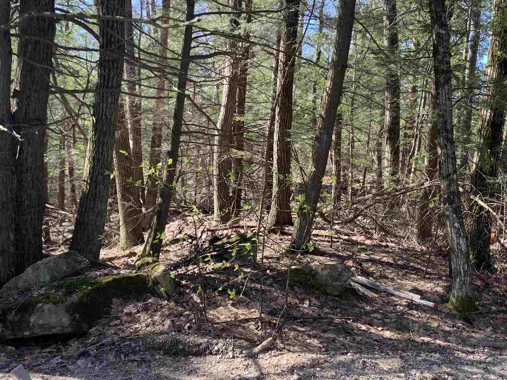 Lot A Nutting Hill Road Mason, NH 03048 - Photo 5 of 16