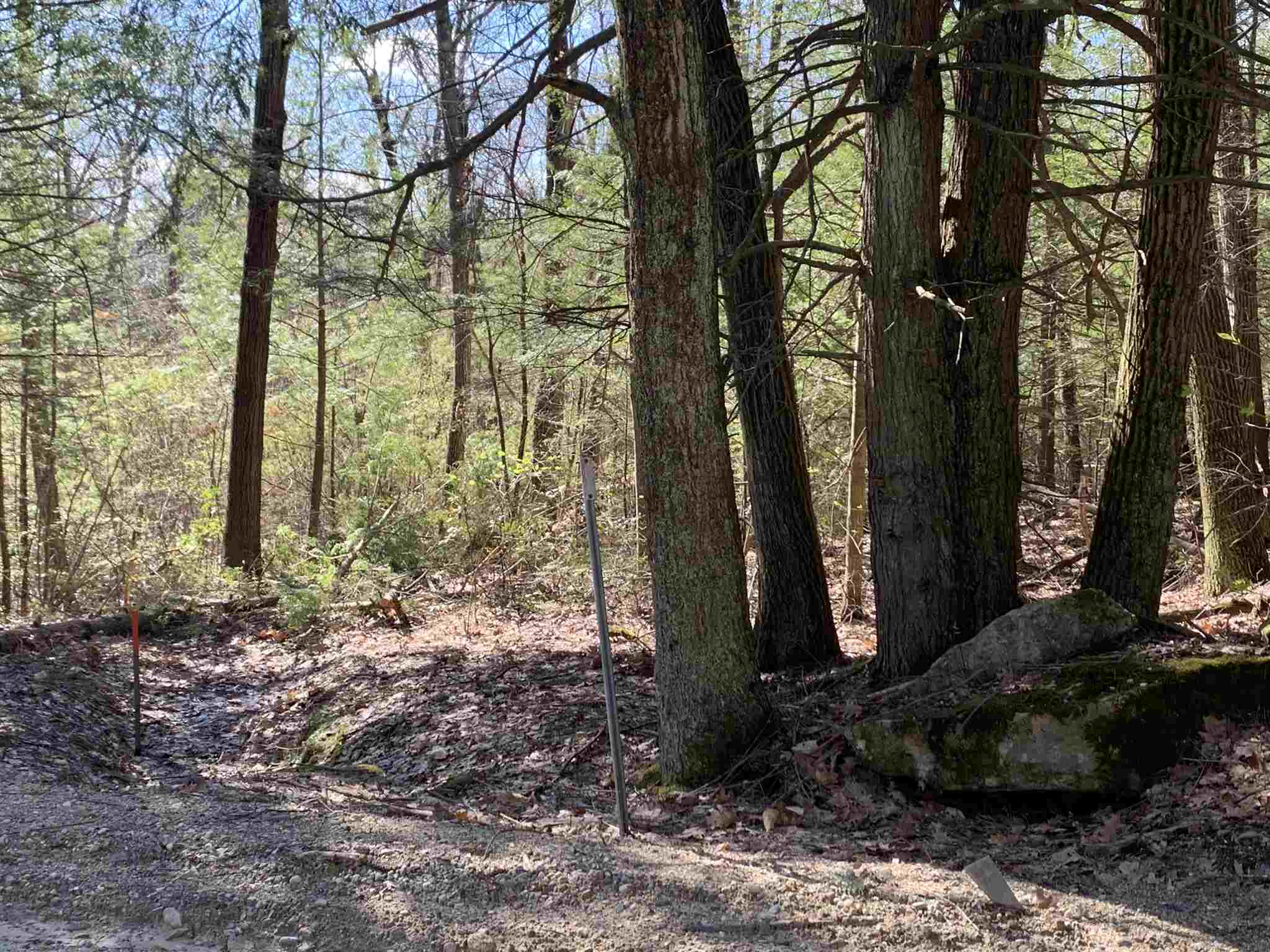 Lot A Nutting Hill Road Mason, NH 03048 - Photo 6 of 16