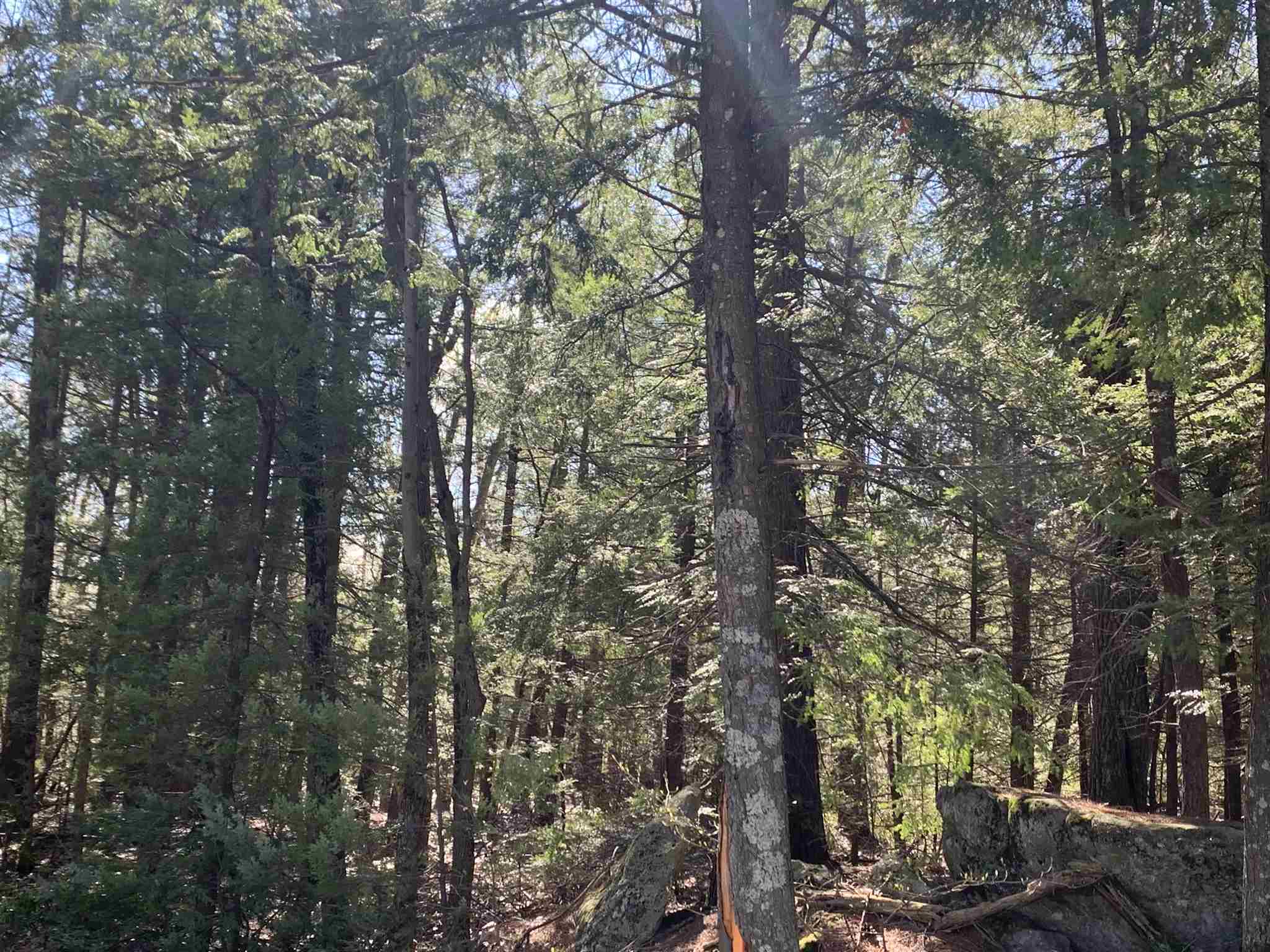 Lot A Nutting Hill Road Mason, NH 03048 - Photo 7 of 16