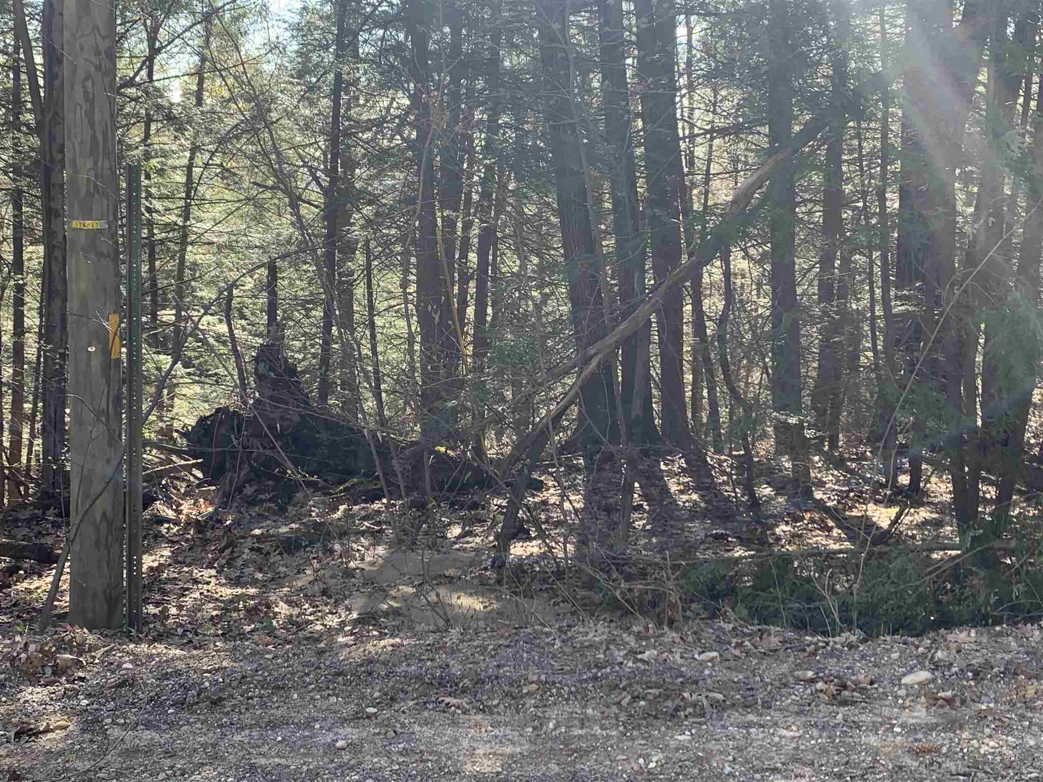 Lot A Nutting Hill Road Mason, NH 03048 - Photo 8 of 16