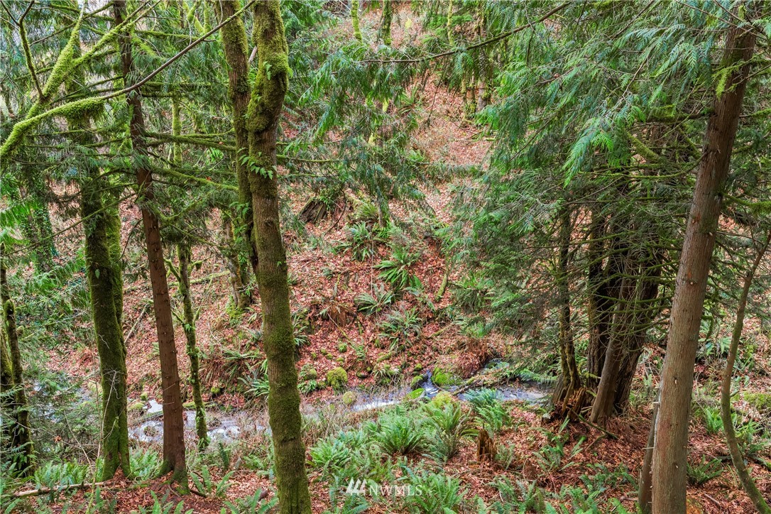 1060 Ridgewood Circle Southwest Issaquah, WA 98027 - Photo 31 of 38