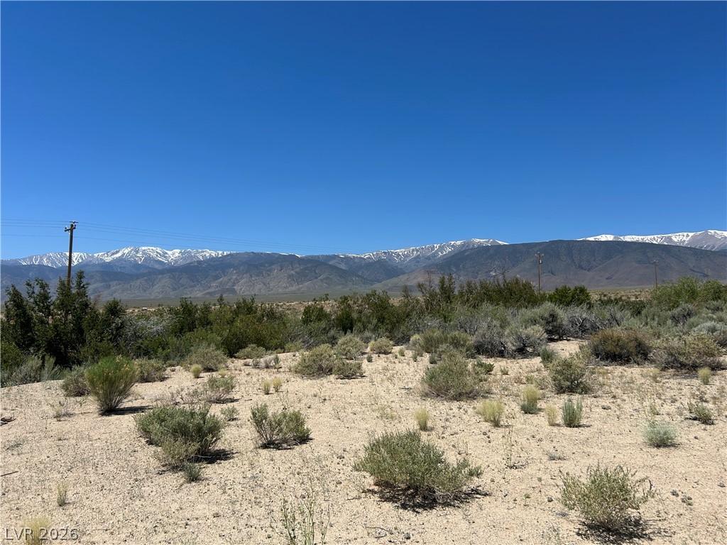 360 Mountain Creek Road Dyer, NV 89010 - Photo 20 of 23 A vast, undeveloped parcel boasts commanding views of distant, snow-capped mountain ranges.