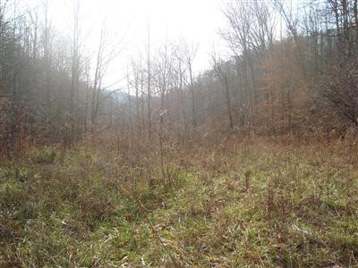 0 Mahaffey Holw Road Livingston, KY 40445 - Photo 6 of 8 Photo 6