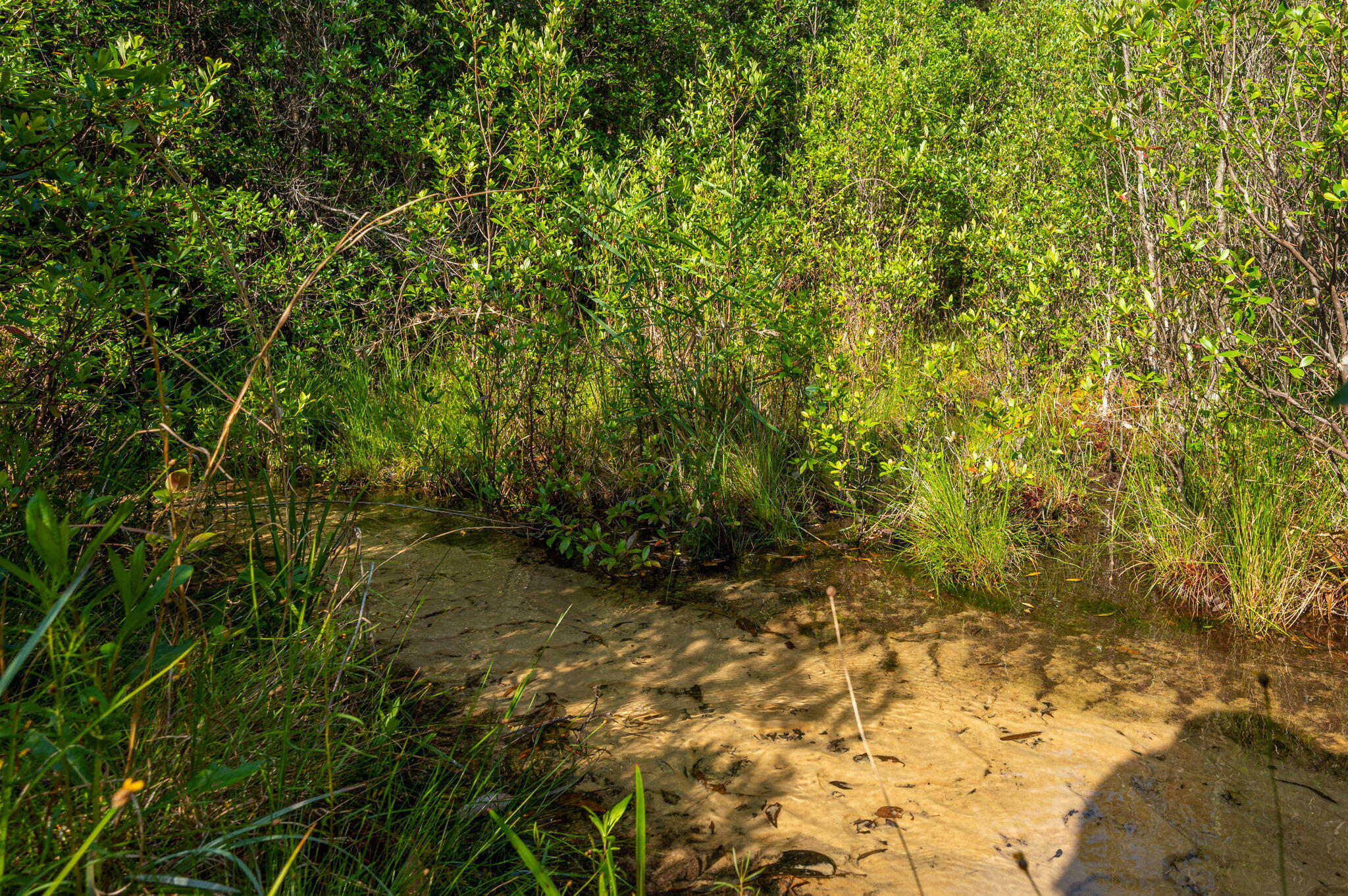 1155 Country Living Road Baker, FL 32531 - Photo 2 of 32 31-web-or-mls-1155 Country Living Rd Ext