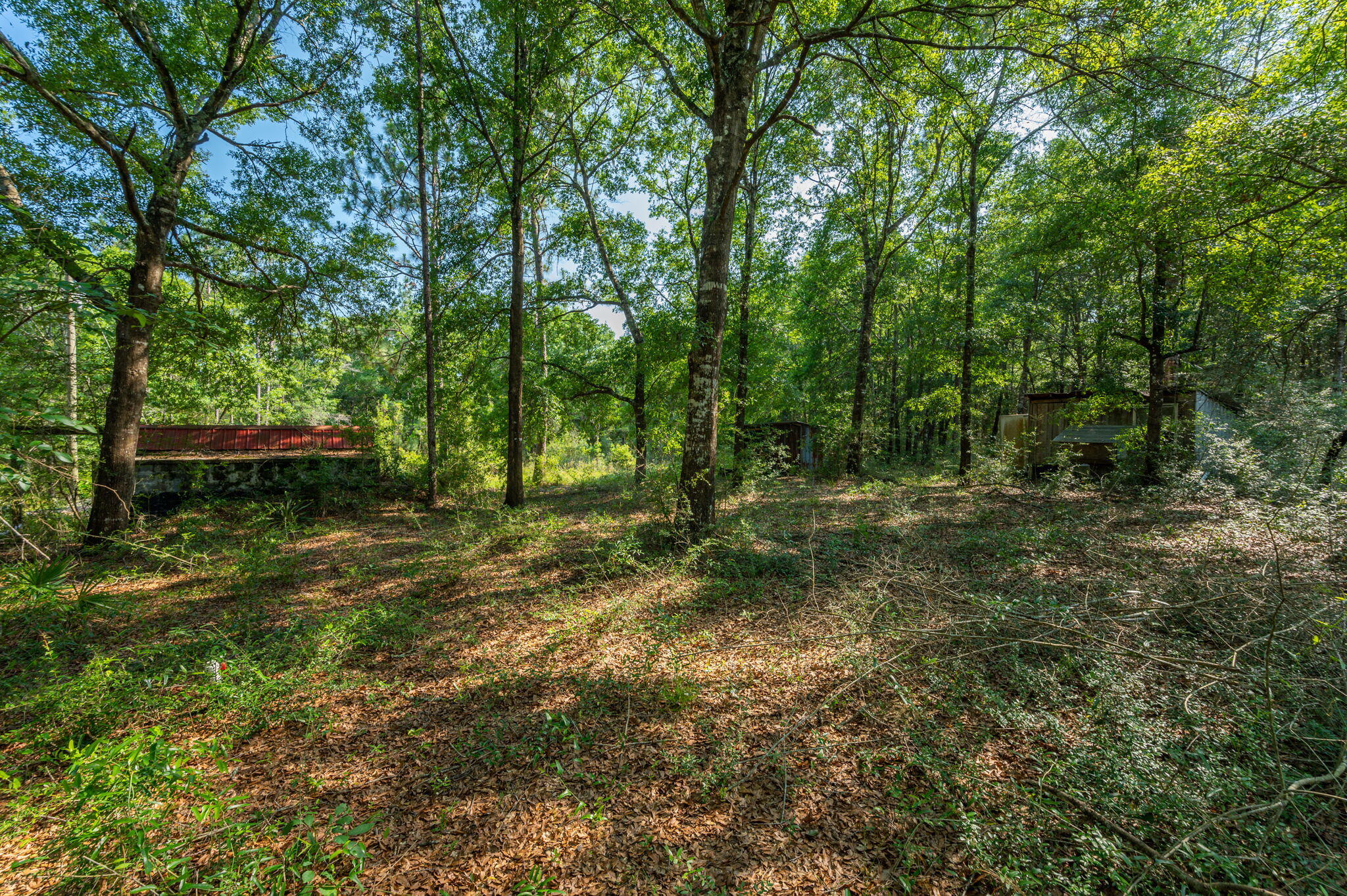 1155 Country Living Road Baker, FL 32531 - Photo 23 of 32 28-web-or-mls-1155 Country Living Rd Ext