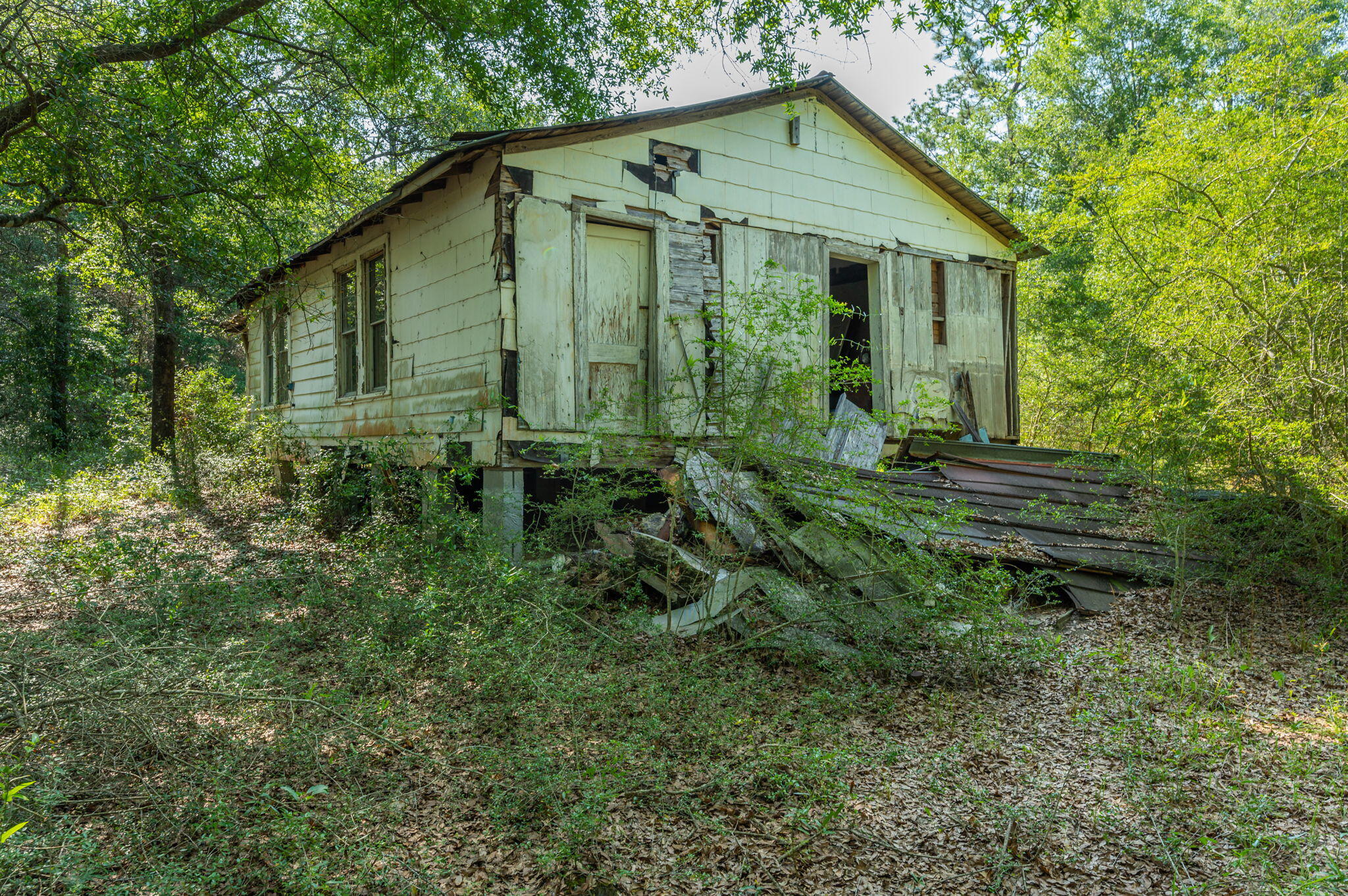 1155 Country Living Road Baker, FL 32531 - Photo 26 of 32 26-web-or-mls-1155 Country Living Rd Ext