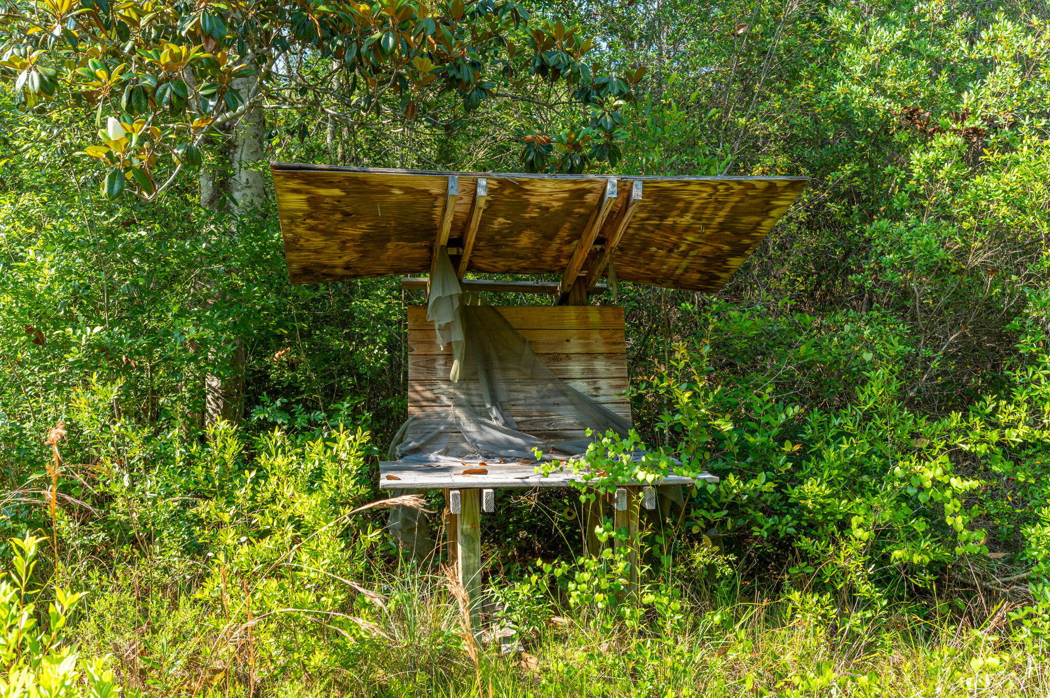 1155 Country Living Road Baker, FL 32531 - Photo 28 of 32 32-web-or-mls-1155 Country Living Rd Ext