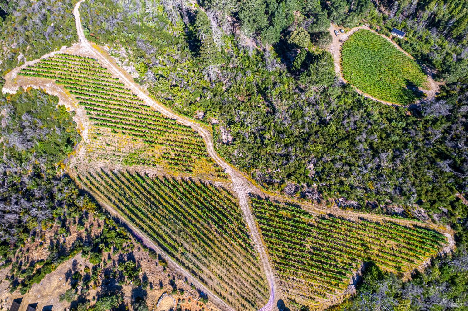 0 Diamond Mountain Road Calistoga, CA 94515 - Photo 6 of 19