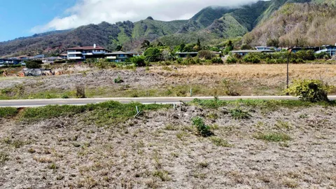 a view of a dry yard with trees