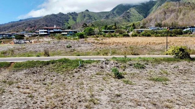 a view of a dry yard with trees