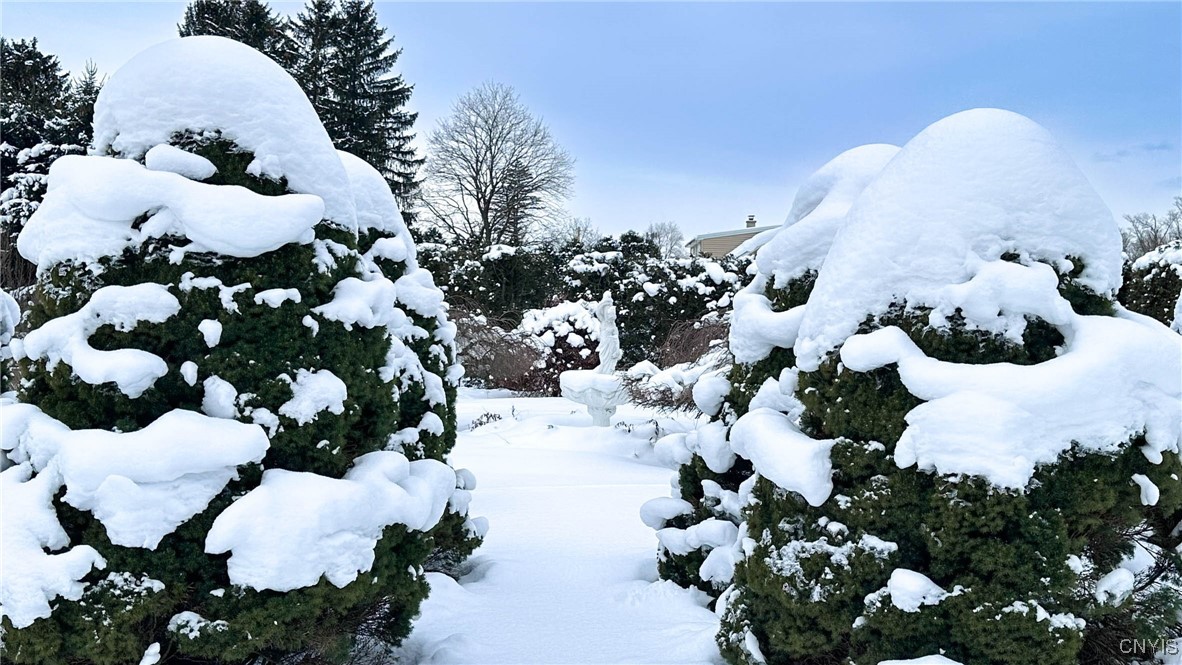 5621 Trenton Road Deerfield, NY 13502 - Photo 34 of 50