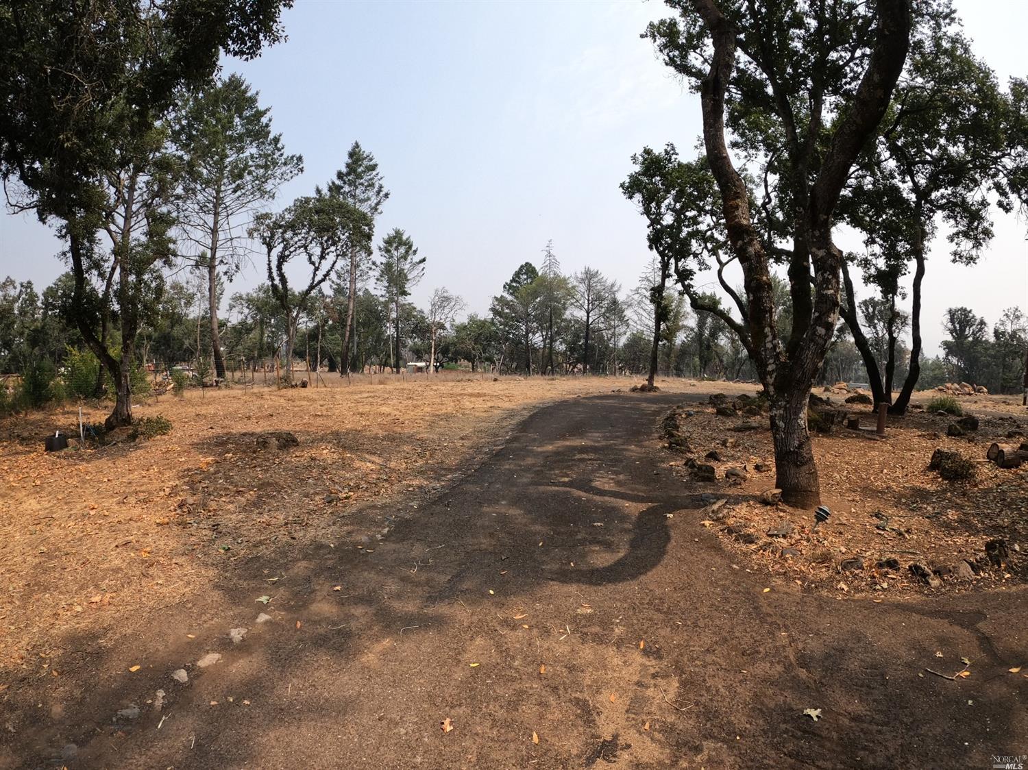 a view of outdoor space with trees