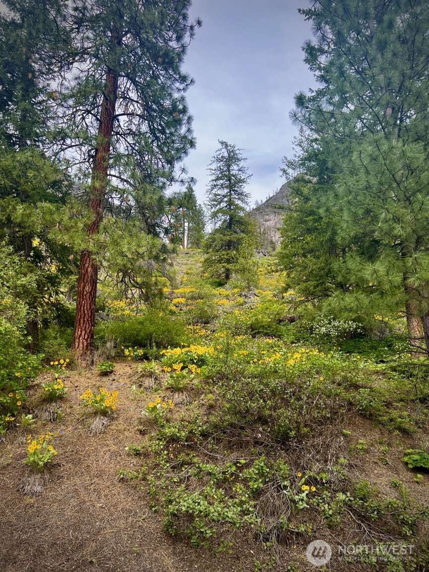 35 Emerson Road Mazama, WA 98833 - Photo 32 of 38