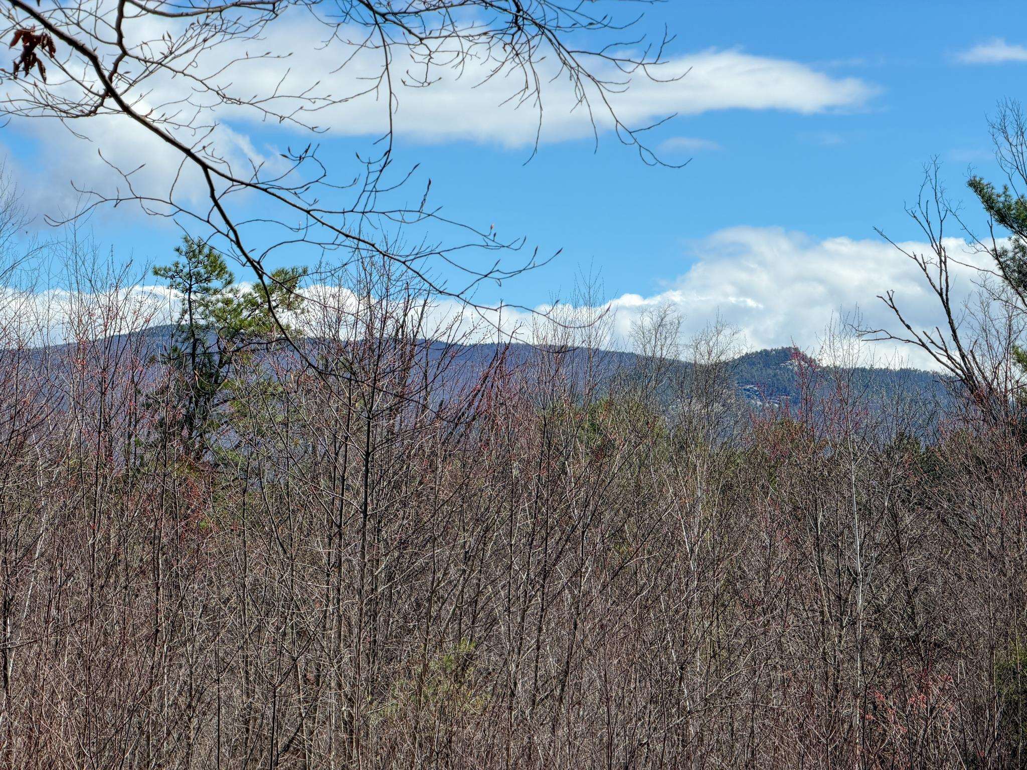 2500 West Side Road Conway, NH 03860 - Photo 27 of 56